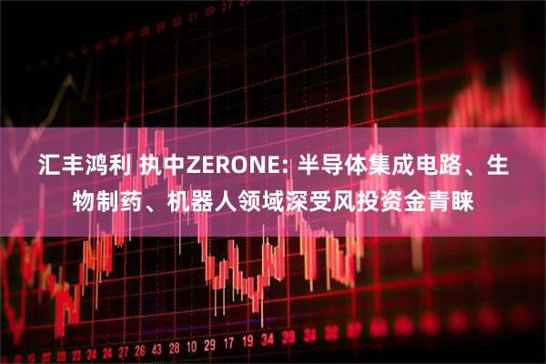 汇丰鸿利 执中ZERONE: 半导体集成电路、生物制药、机器人领域深受风投资金青睐