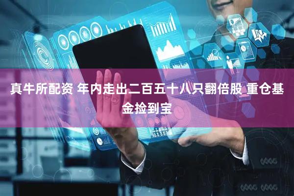 真牛所配资 年内走出二百五十八只翻倍股 重仓基金捡到宝