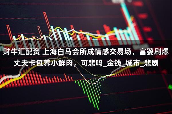 财牛汇配资 上海白马会所成情感交易场，富婆刷爆丈夫卡包养小鲜肉，可悲吗_金钱_城市_悲剧